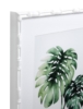 Постер Tropical plants (из 2шт) 111742