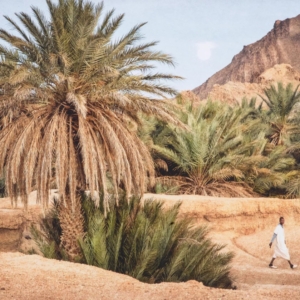 ПОСТЕР MOROCCAN OASIS 118557