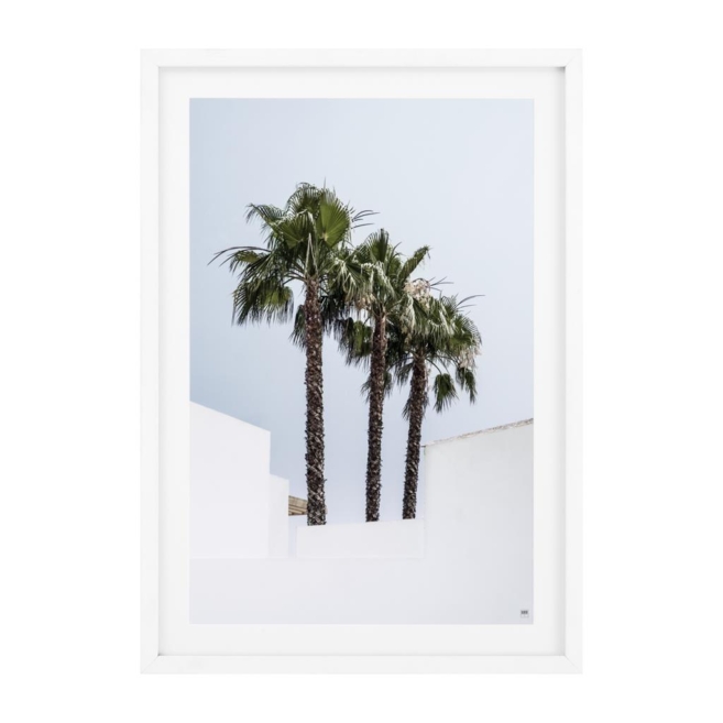 Постер Palm Trees set of 2 112194