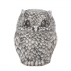 Коробка Box Owl 112796