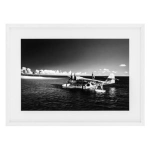 Постер Catalina 110867