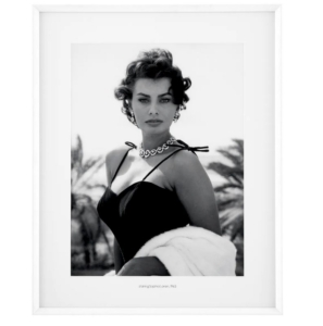 Постер EC321 Staring Sophia Loren
