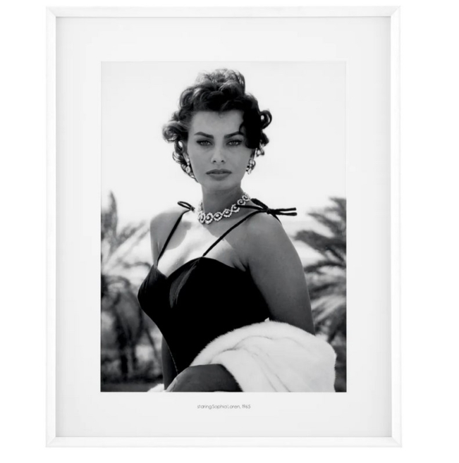 Постер EC321 Staring Sophia Loren